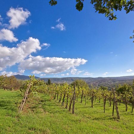 Agriturismo Corvaia Radicofani Buitenkant foto