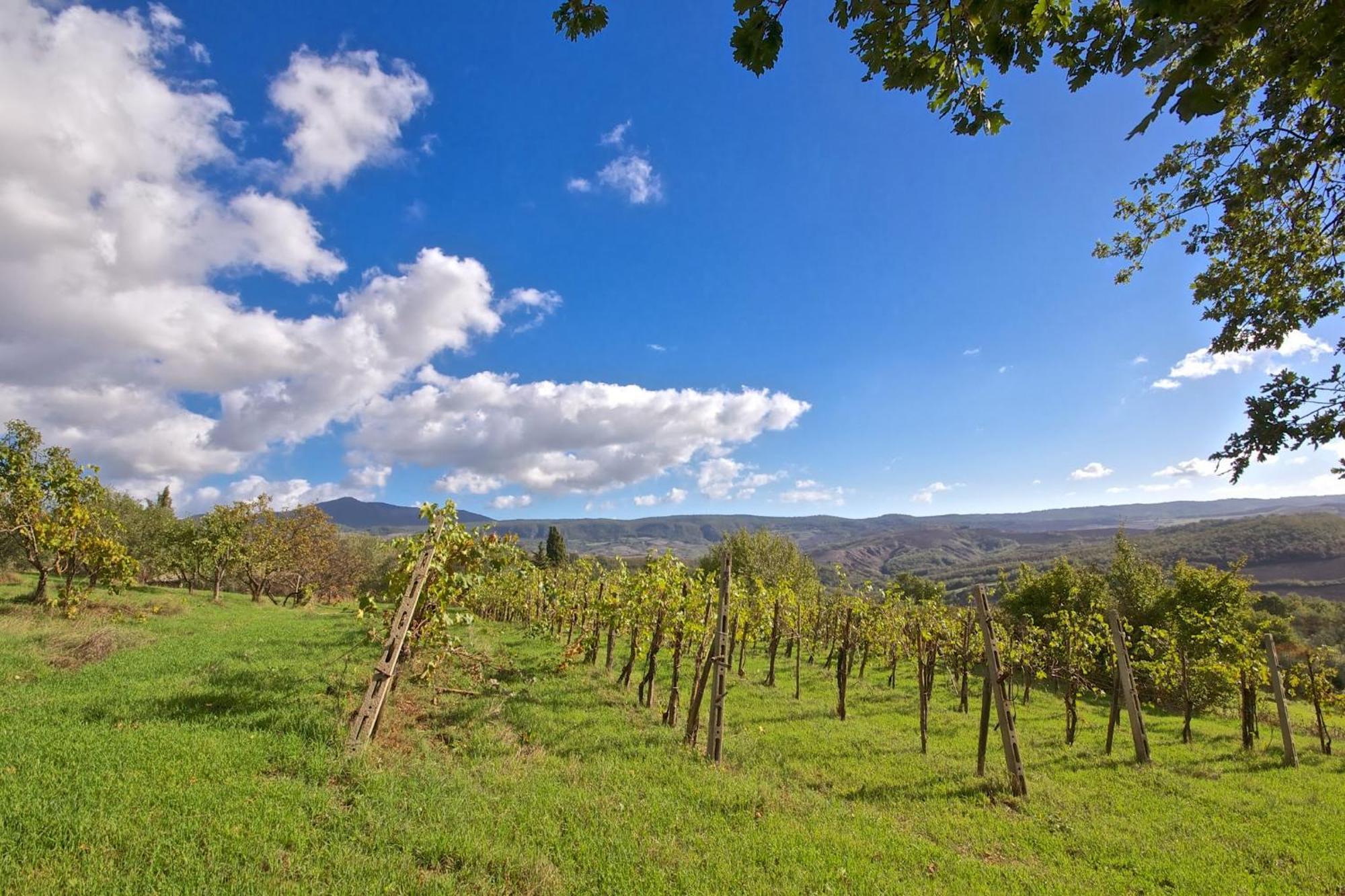 Agriturismo Corvaia Radicofani Buitenkant foto